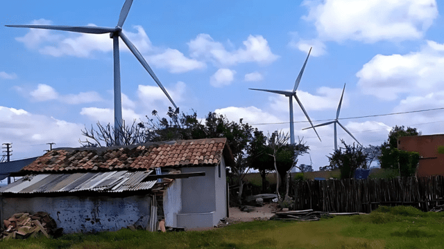 Os imapactos ambientais da energia eólica